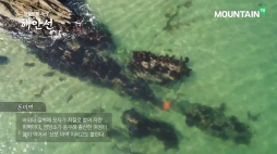 마운틴TV_해안선_수정_02