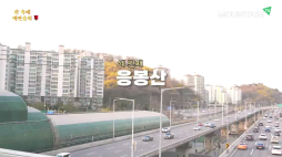 마운틴TV_02_산속에백만송희_응봉산