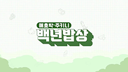 백년밥상_애호박편