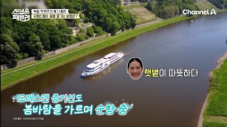 채널a_선넘은패밀리_순항중