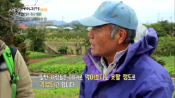 ebs_세테기(일본)