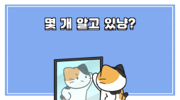 비마이펫_고양이의비밀(이벤트포함)