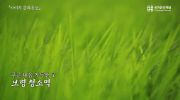 국가유산채널