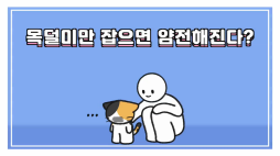 비마이펫_고양이클립노시스