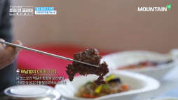 마운틴tv_트립인코리아