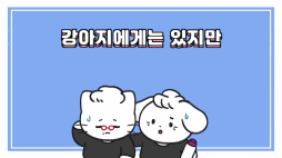 비마이펫_고양이타우린