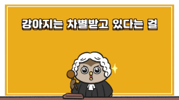 비마이펫_강아지정성