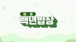 백년밥상_땅콩편