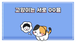 비마이펫_고양이표정