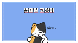 비마이펫_밥테일고양이
