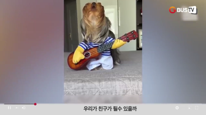 요즘이슈_동물_우리가친해질수있을까