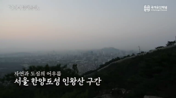 국가유산채널