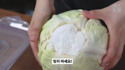 백년밥상_양배추편