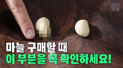 백년밥상_마늘손질보관