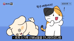 비마이펫_기네스고양이