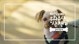 국가유산채널_김제벽골제
