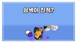 비마이펫_카오스냥