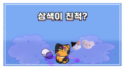 비마이펫_카오스냥