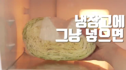백년밥상_양배추편