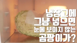 백년밥상_양배추편
